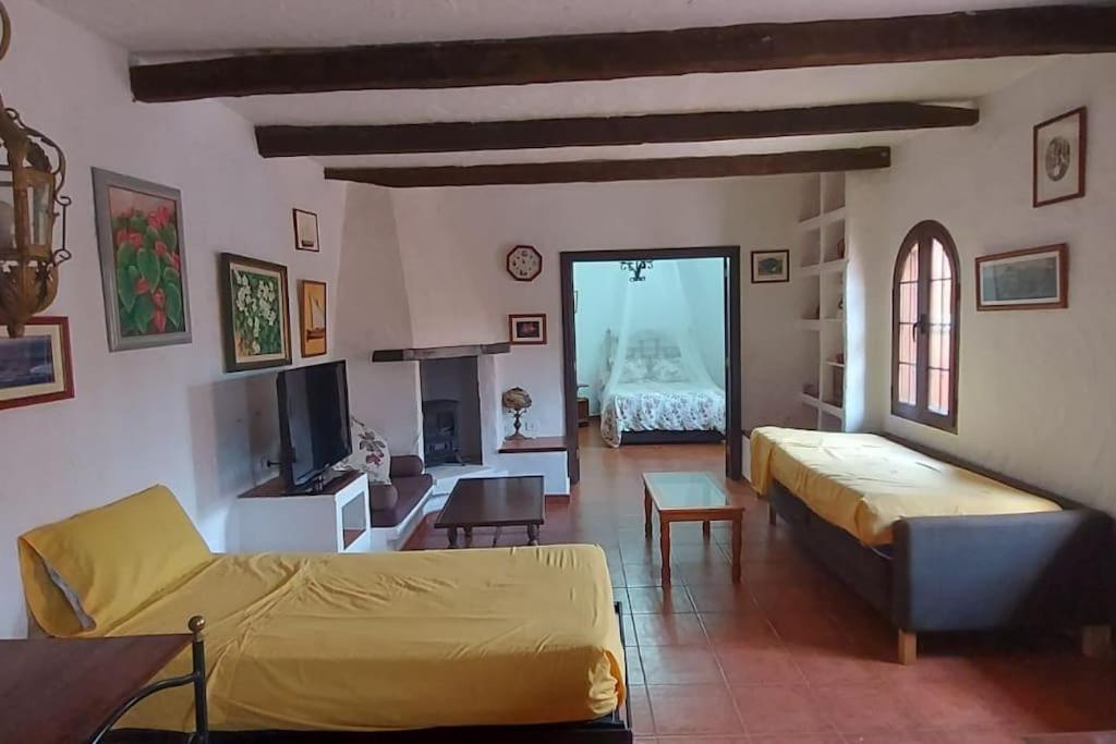 Finca David Galdar ラスパルマス・デ・グランカナリア エクステリア 写真